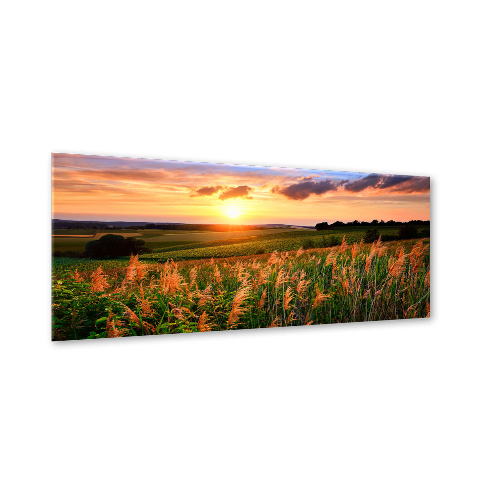 Skleněný obraz - Styler Sunset Meadow 125x50 cm